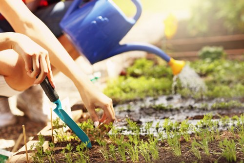 Essential elements of a landscaped garden in Archway
