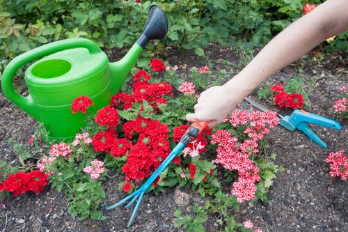 Professional landscapers working on a garden project in Archway